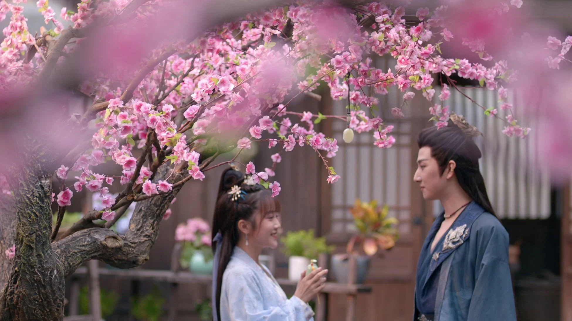 桃花夫婦~偽装結婚は恋の始まり~