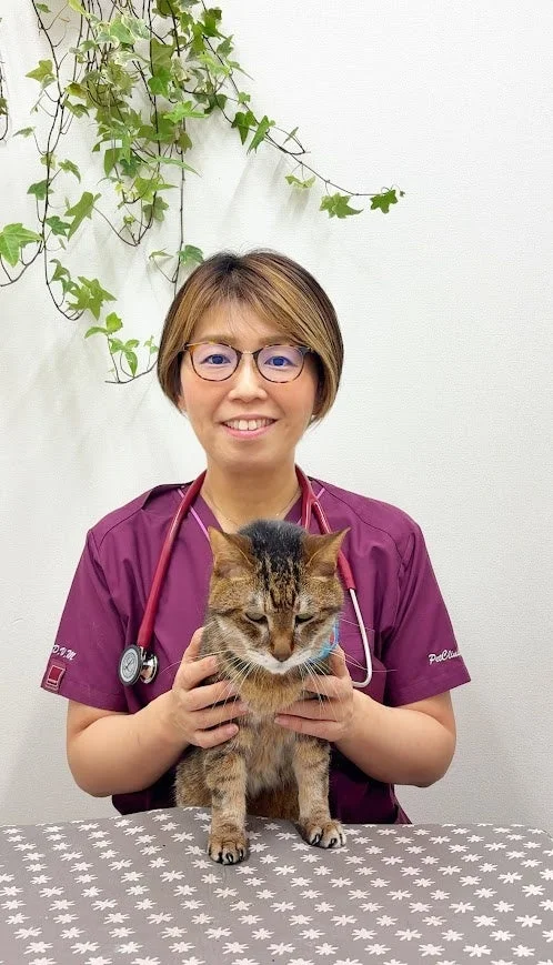 紫色のスクラブを着た獣医師らしき女性が、診察台の上でタビー猫を優しく抱きかかえ、笑顔を見せています。